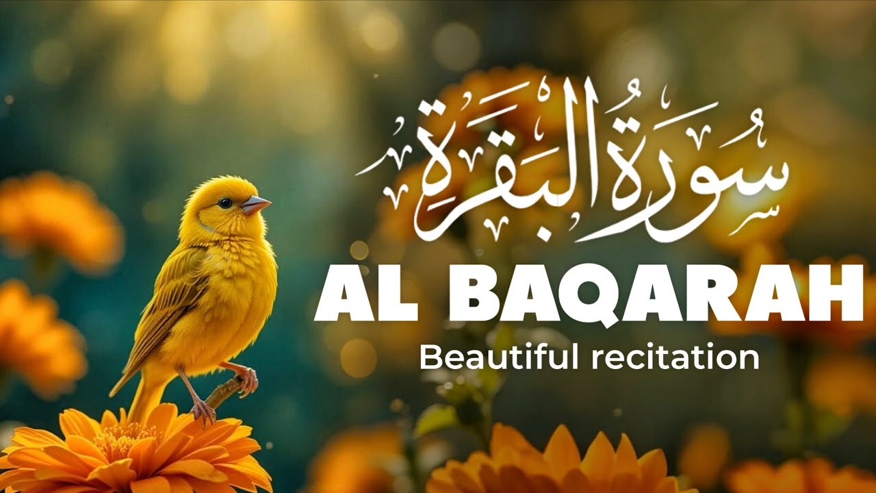 Surah Al-Baqarah Full Recitation | Beautiful Quran Tilawat for Peace, Healing & Blessings