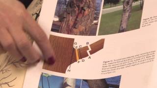 Gardening: Pruning : How to Prune Maples