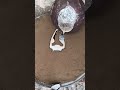 #melting #experiment #satisfying #oddlysatisfying #amazing #viral #viralshort #viralshorts #virl