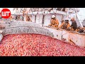 How shrimp are caught  processed  from sea to the shrimp processing factory