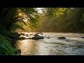 Serene Natural River Sounds 🌿 Calm White Noise Ambience