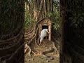 नदी में पानीभरते समय राजू के पीछे पड़ा खतरनाक सांप 😱 | #suspense #ytshorts #trending #emotional
