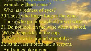 Proverbs 23 24 35