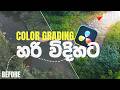 D-Log M Color Grading in Davinci Resolve 20 | Sinhala Tutorial