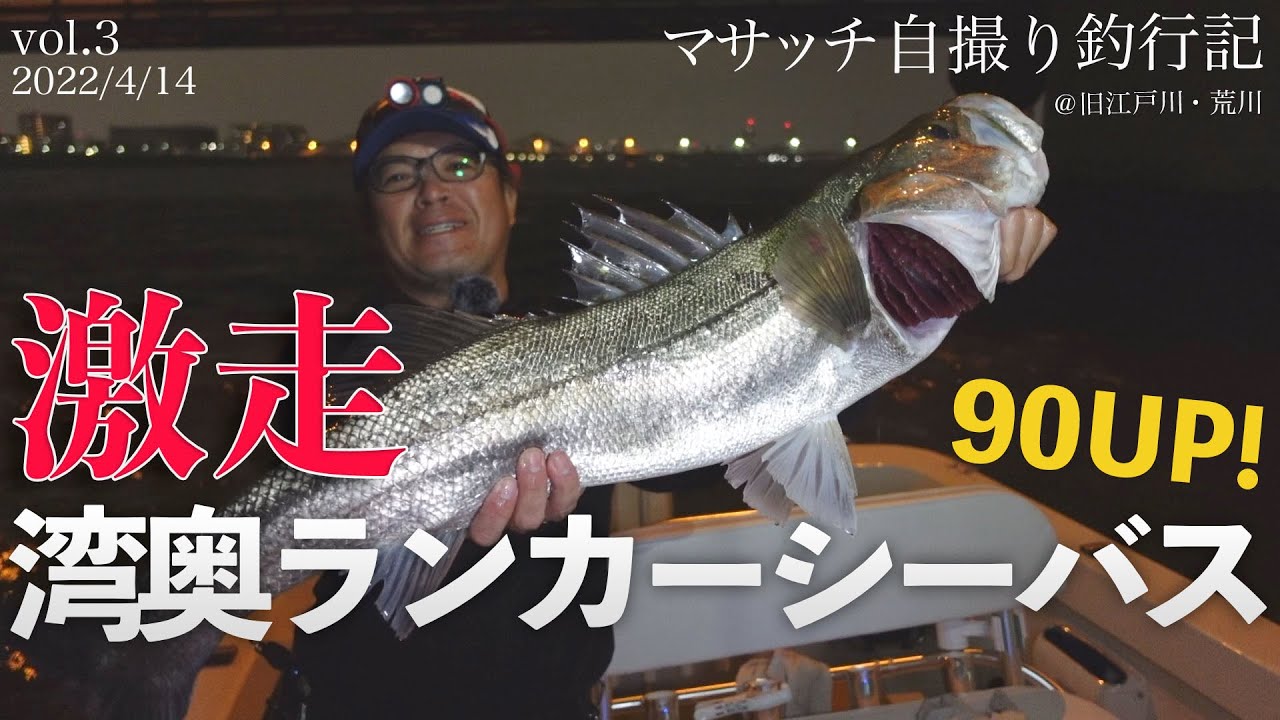 自撮り釣行 22イグジスト 22ステラのインプレ モンスターシーバス登場 Youtube