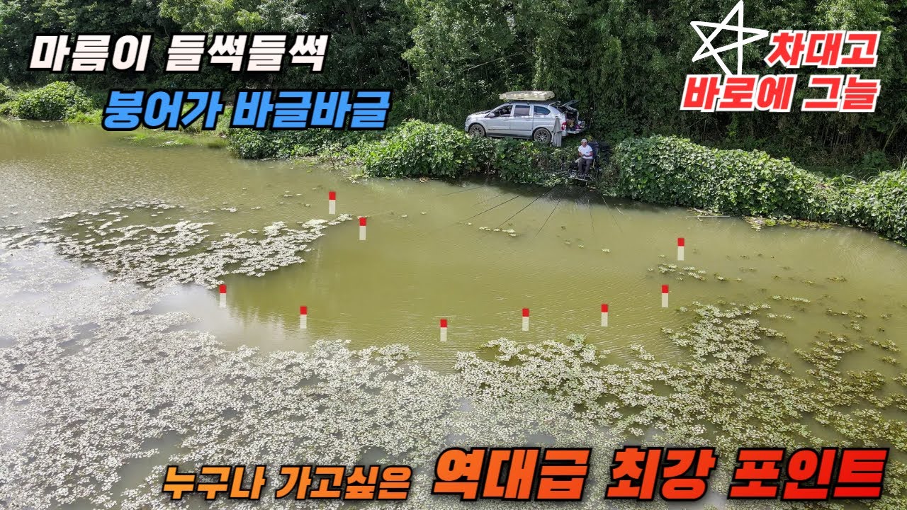 붕어가 바글바글, 차대고 한발 역대급 최강 포인트