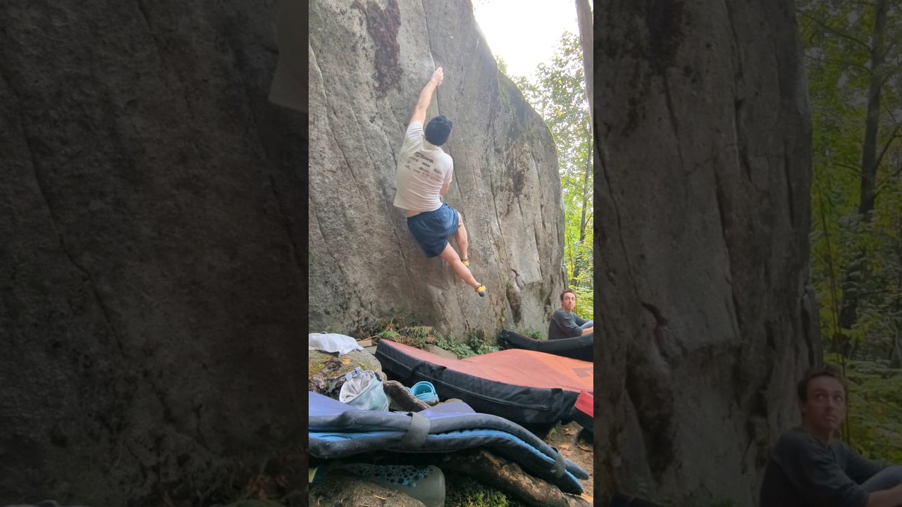 I Almost Sent Danny Devito! 