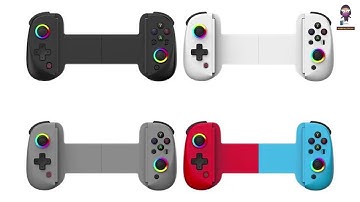 Hechuang BSP-D8 Wireless Gamepad User Manual