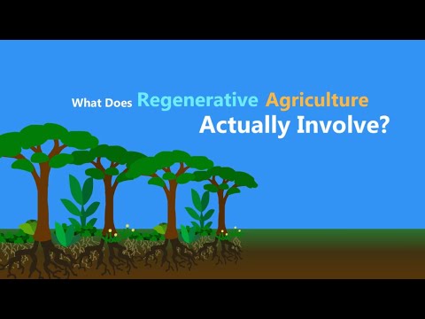 Video: Regenerative Agriculture Info: How Does Regenerative Agriculture Work