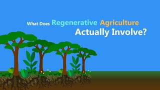 What is Regenerative Agriculture?