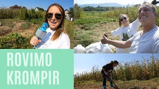 VLOG: Rovimo krompir