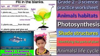 Grade 2 - 3 science practice worksheets | homeschooling practice worksheets for kid's |