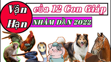Vận Hạn Năm 2022 của Tuổi TÝ SỬU DẦN MÃO THÌN TỴ NGỌ MÙI THÂN DẬU TUẤT HỢI @Luangiai12congiap