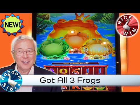 King Fu Frog Food Slot Machine Nice Bonus