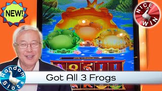 King Fu Frog Food Slot Machine Nice Bonus