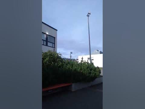 Колледж школа для моего старшего сына Артема! Сын сдает тесты!! Всем ...
