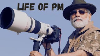 Life of Modi Cover Song #wildlife #pmmodi #india #italy #giorgiameloni #ai #coversong #aigenerated