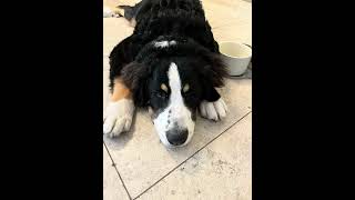 London Video Project. Philosophy of Travel. Information