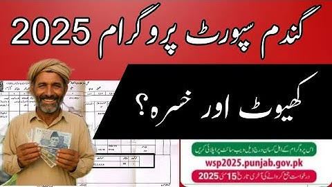 Online application on Wheat Support Program 2025 | Bilal Kanju Official