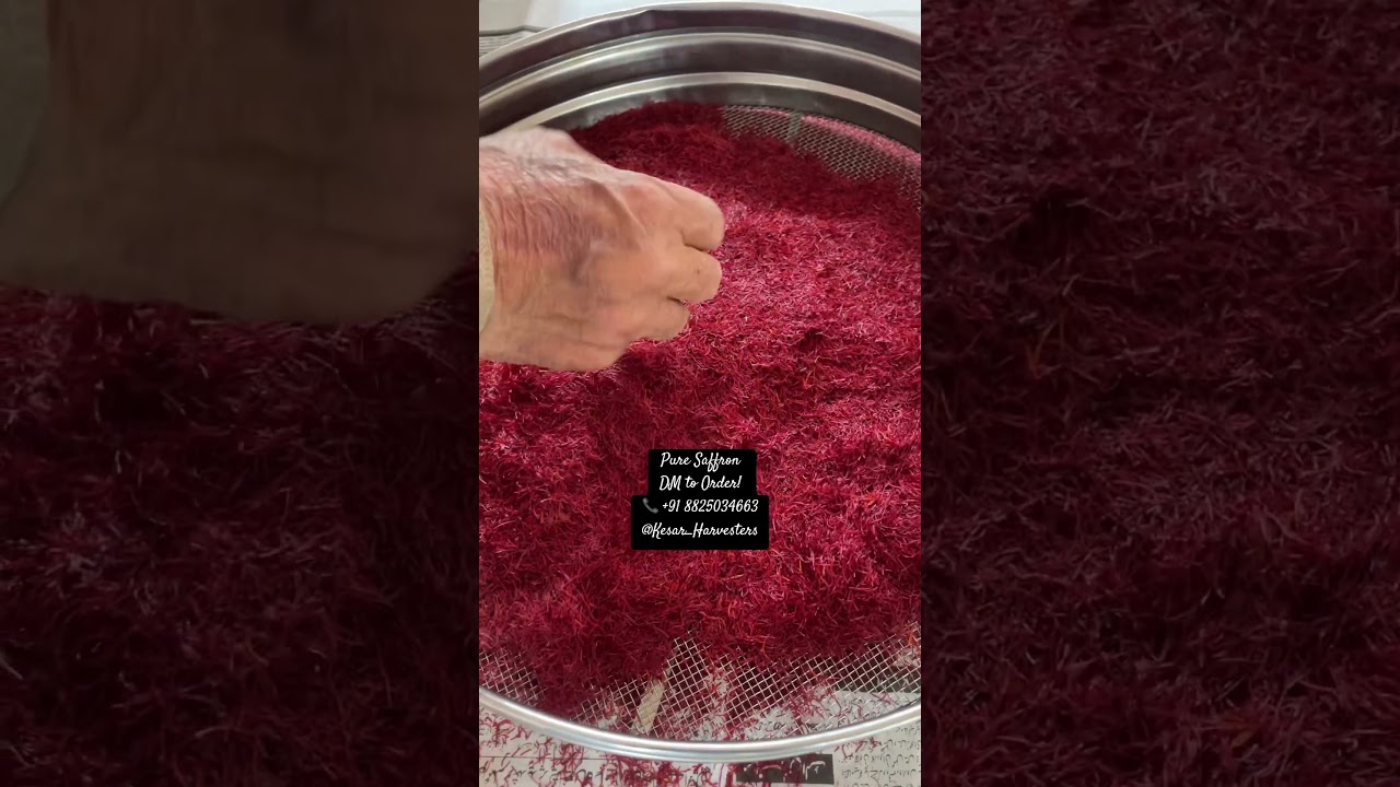 Saffron Harvest in 30 Seconds! 🌸🔥 
