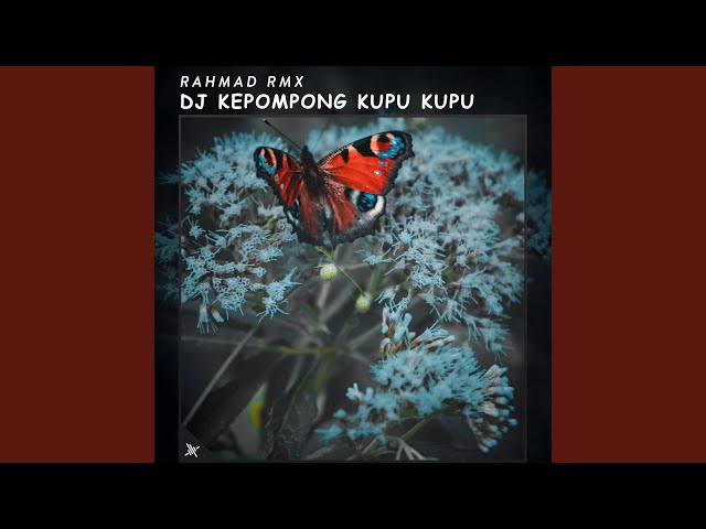 DJ Kepompong Kupu Kupu class=
