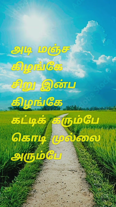 Kurukku paathaiyile  ilaiyaraaja spb &minmini#shorts