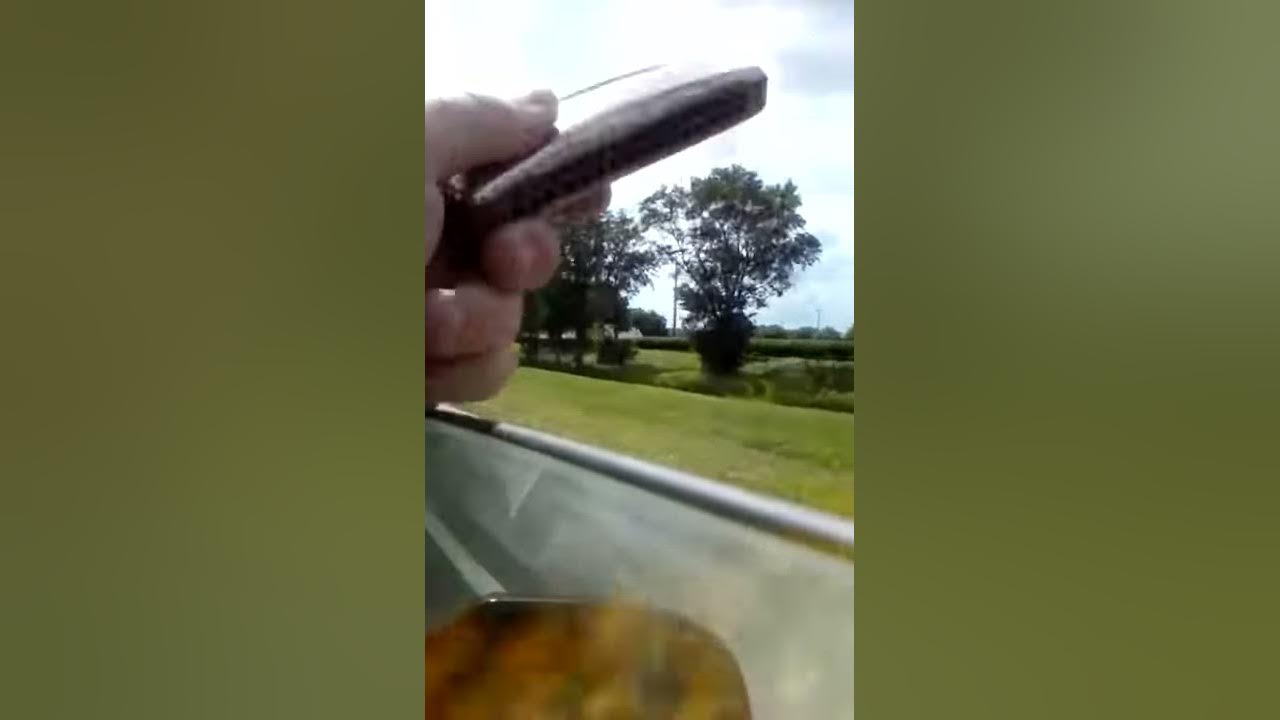 Harmonica Under Car
