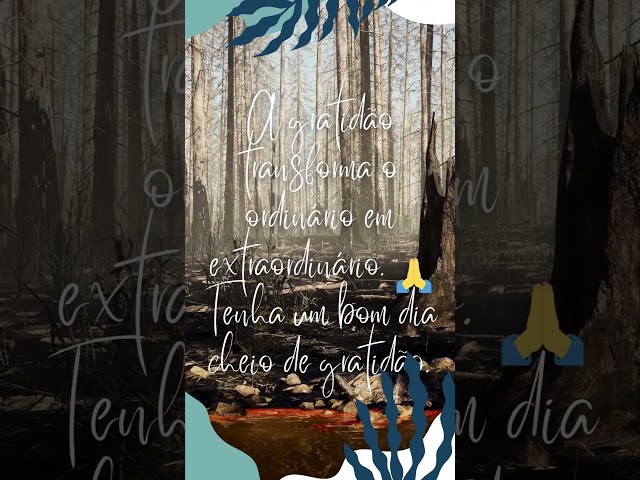 Palavras que transformam: Deus viu cada lágrima | 27/07/2025 #BomDia | Mensagem de Hoje