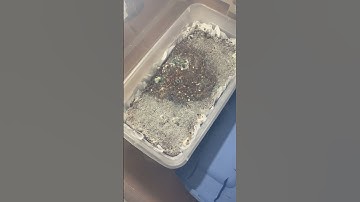 Contamination 24 hour update ￼