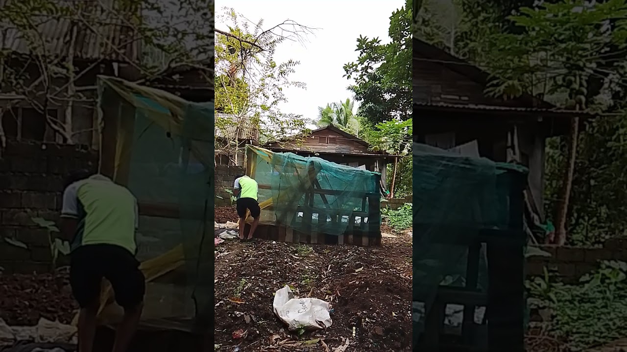 March 4-2026 Wednesday 3