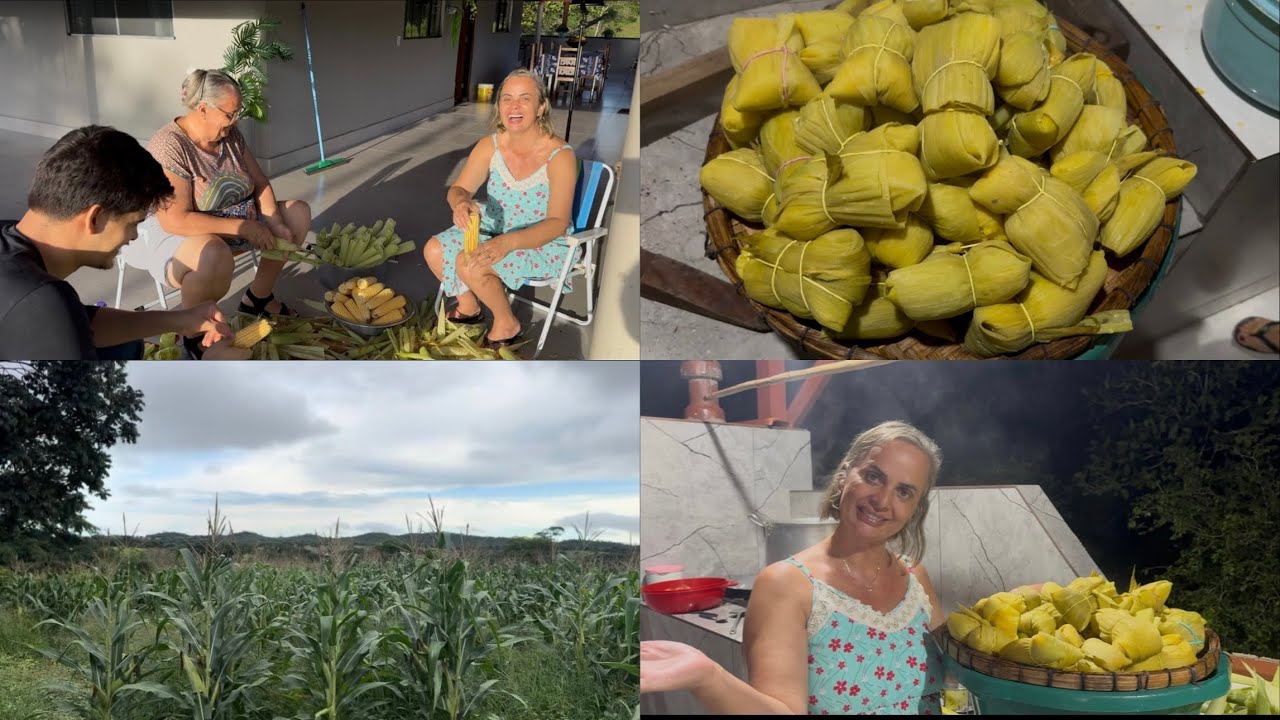 🌽 PAMONHADA NA ROÇA: OLHA A QUANTIDADE DE PAMONHA QUE SAIU!