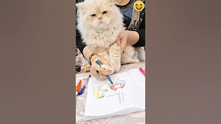 Video 7811601: cat cute fun, cute cat drawing, cat learning, funny cat