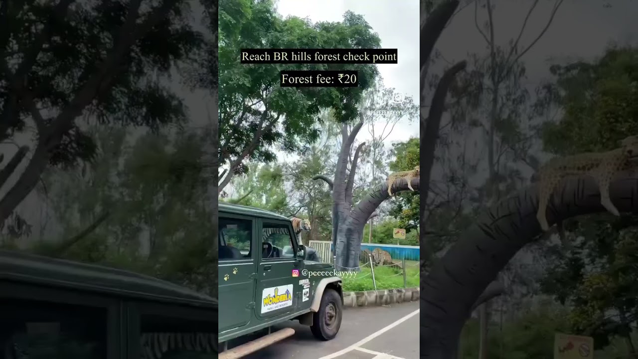 Bengaluru to BR hills road trip details 🚙⛰️