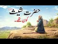 حضرت شیث علیہ السلام کا واقعہ حضرت شیث علیہ السلام قصص الانبیاء اسلامی تاریخ انبیا کرام