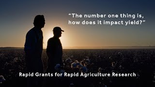 Multidisciplinary Research Part 1 | The Race to Control A Cotton Virus