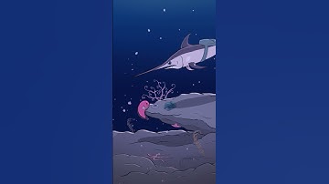 Swordfish ⚔️🐟 #animation #original #cartoon