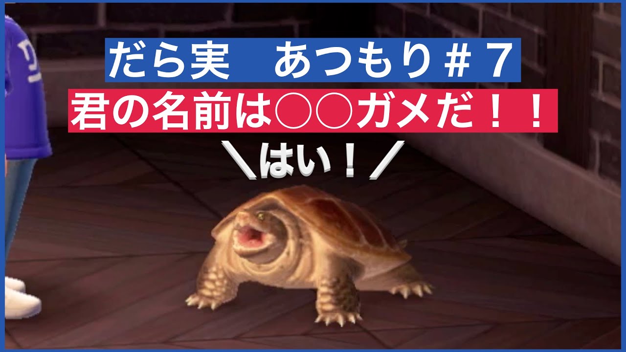 だら実『あつまれ どうぶつの森』＃７