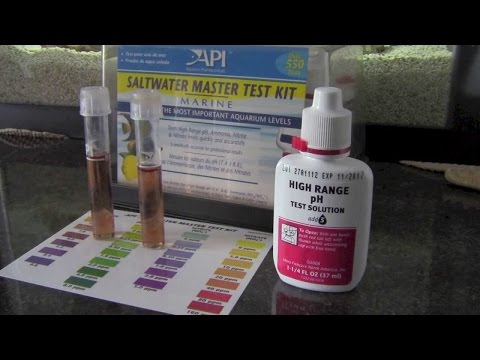How To Lower Saltwater Reef Tank PH Quickly & Naturally