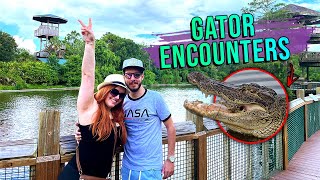 We petted LIVE ALLIGATORS and lived to tell the tale | GATORLAND, Florida