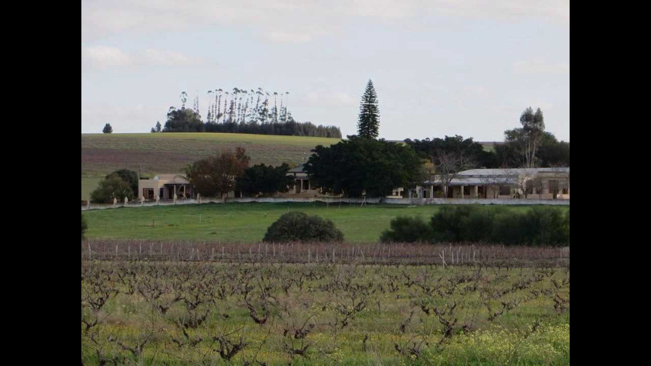 Wine & Livestock farm for sale Wellington Western Cape South Africa