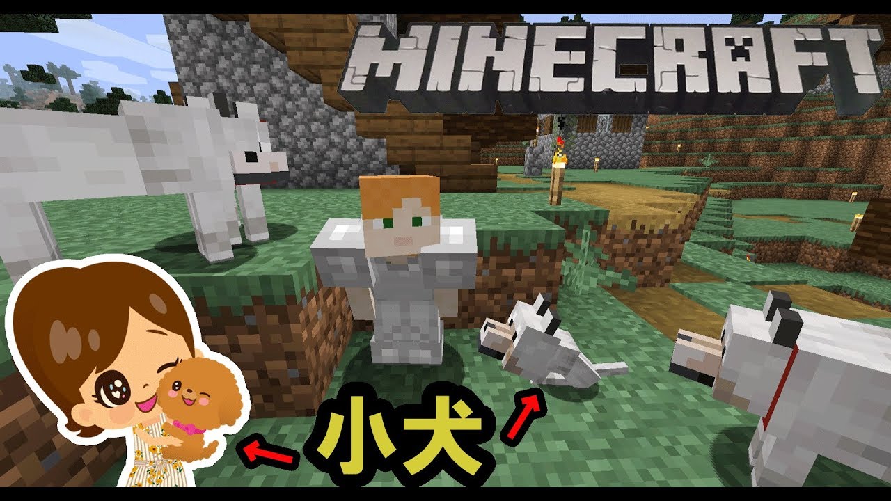 サバイバル ひめクラpc版パート７ P 版minecraft Youtube