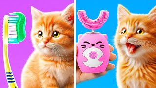 How to Take Care of Your Pet 😻 Gadgets and Tips of Pet Owners