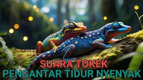 Cận Cảnh Rõ Nét Con Tắc Kè - Hình Ảnh Và Tiếng Tắc Kè Kêu - Picture And Sound Of Tokay Gecko #29