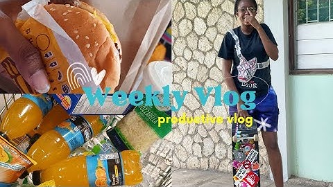 I LEARNED TO SKATEBOARD WITH NO EXPERIENCE!|VLOG #21 #trend