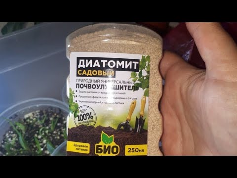 Грунт Для Адениума Купить Готовый