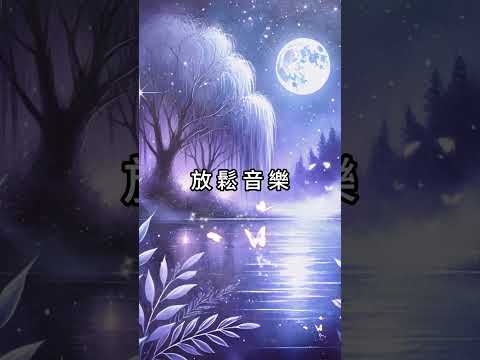 溫和鋼琴旋律 | 安撫心靈 | 靜享片刻寧靜|純音樂 #music #睡眠音樂#放鬆音樂#輕音樂