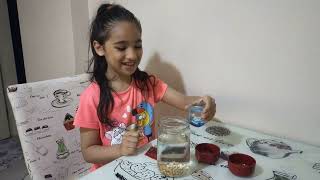 Beyzoş Yine Napıyor Acaba?Şfetedüş Şfetbeniöneçıka