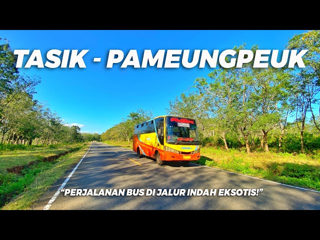 Cuma Ada Satu! Bus SAKURA, Penghubung Warga Tasik dan Garut Selatan | via Leuweung Sancang, Pak! class=