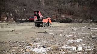 VL.ru - Неизвестные лица отсыпают участок и сносят деревья на картодроме «Змеинка»