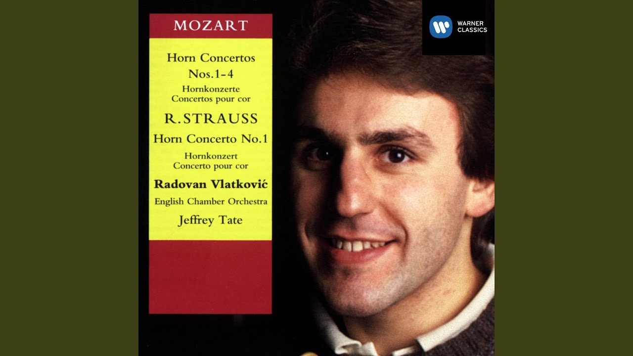 Horn Concerto No. 1 in E-Flat Major, Op. 11: III. Allegro
